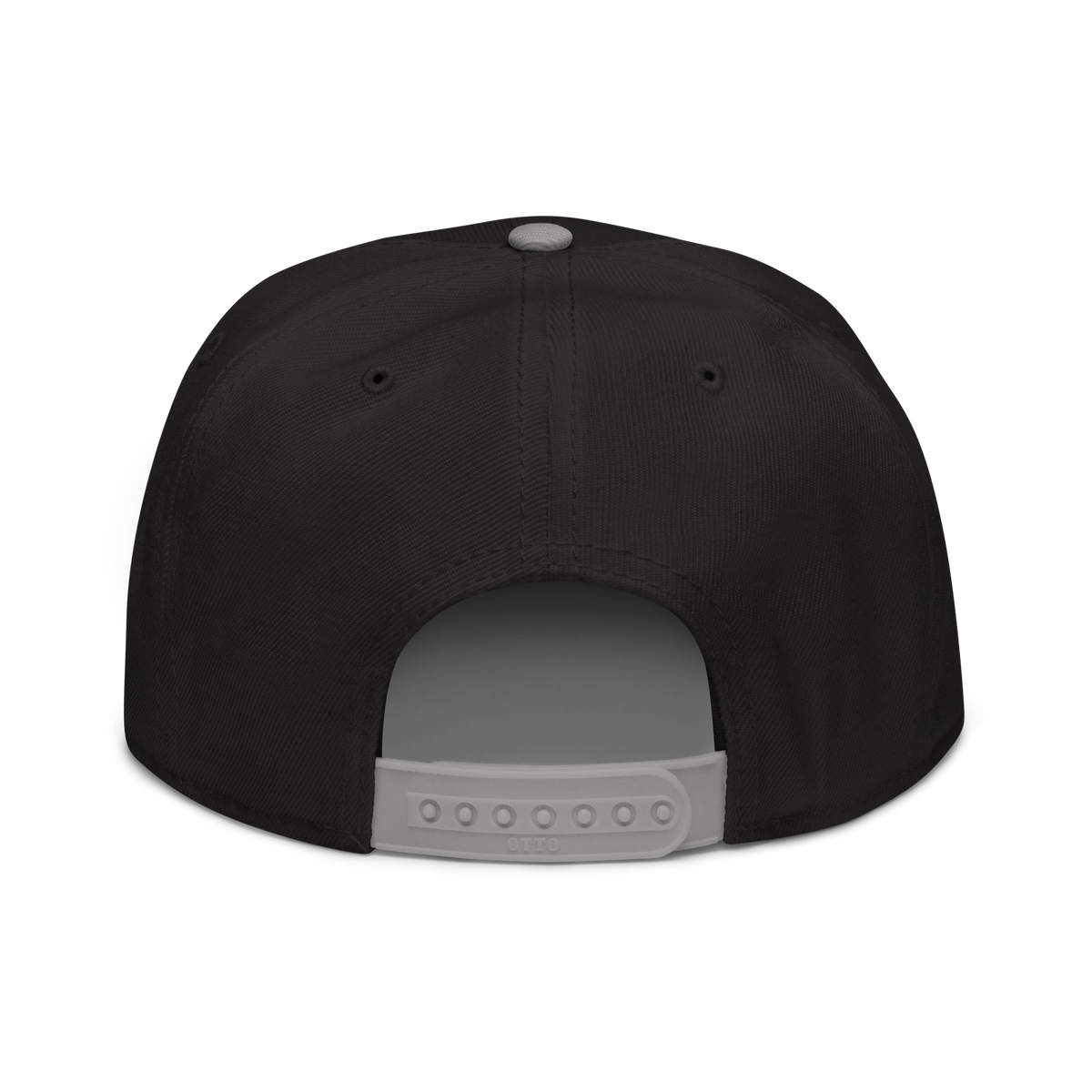 Ænima30 Snapback Hat