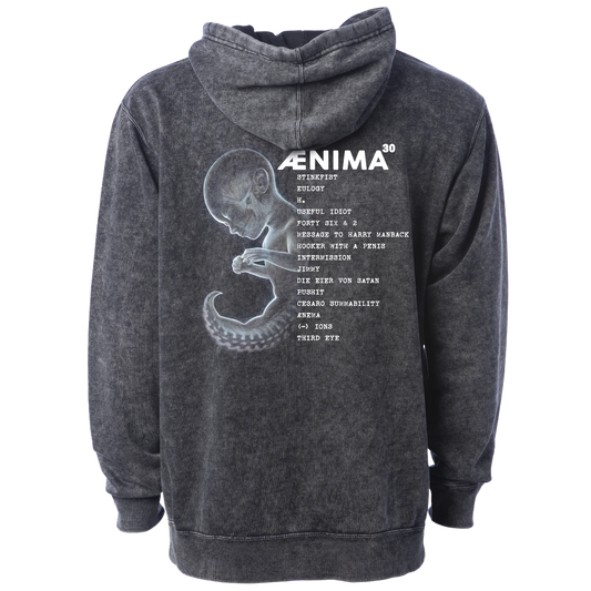 Ænima30 Tracklist Mineral Wash Pullover Hoodie