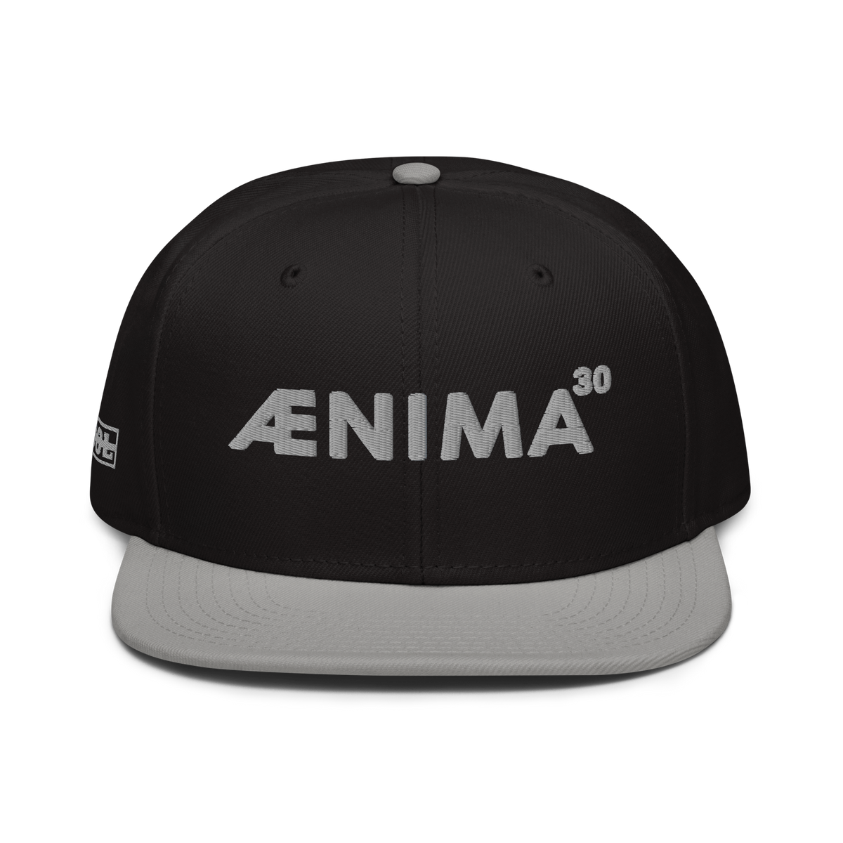 Ænima30 Snapback Hat