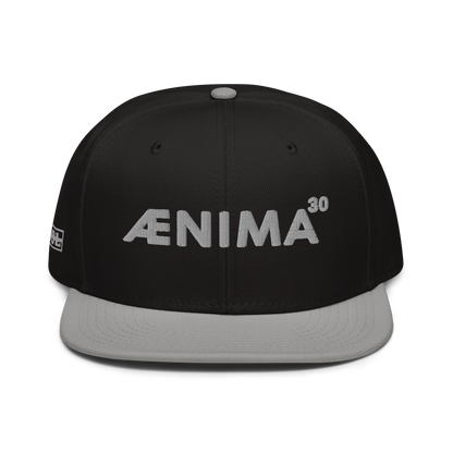 Ænima30 Snapback Hat