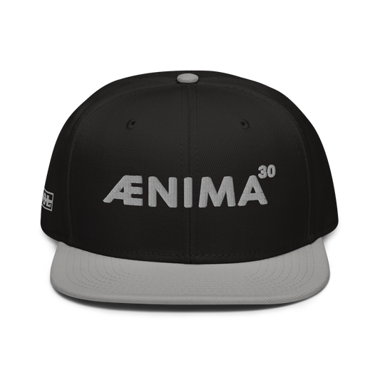 Ænima30 Snapback Hat
