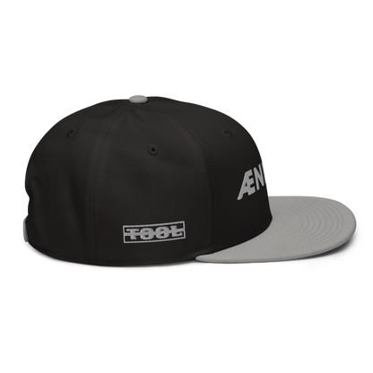 Ænima30 Snapback Hat