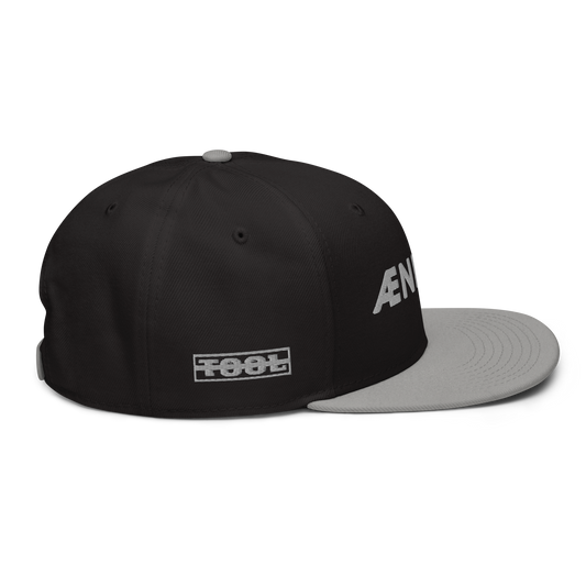Ænima30 Snapback Hat