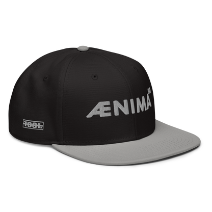 Ænima30 Snapback Hat