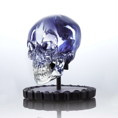 The Fetus in Skull Half-Scale Maquette (Unsigned)