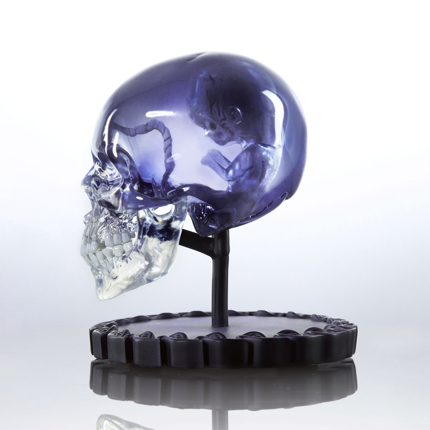 The Fetus in Skull Half-Scale Maquette (Unsigned)