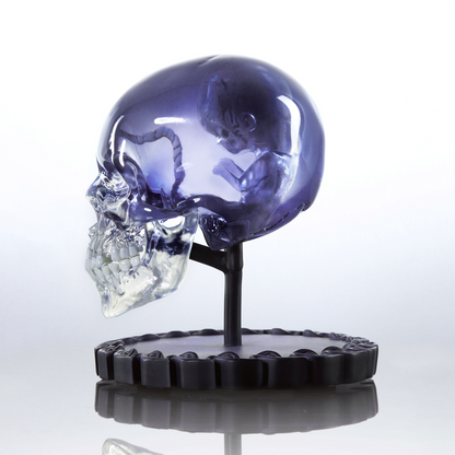 The Fetus in Skull Half-Scale Maquette (Unsigned)