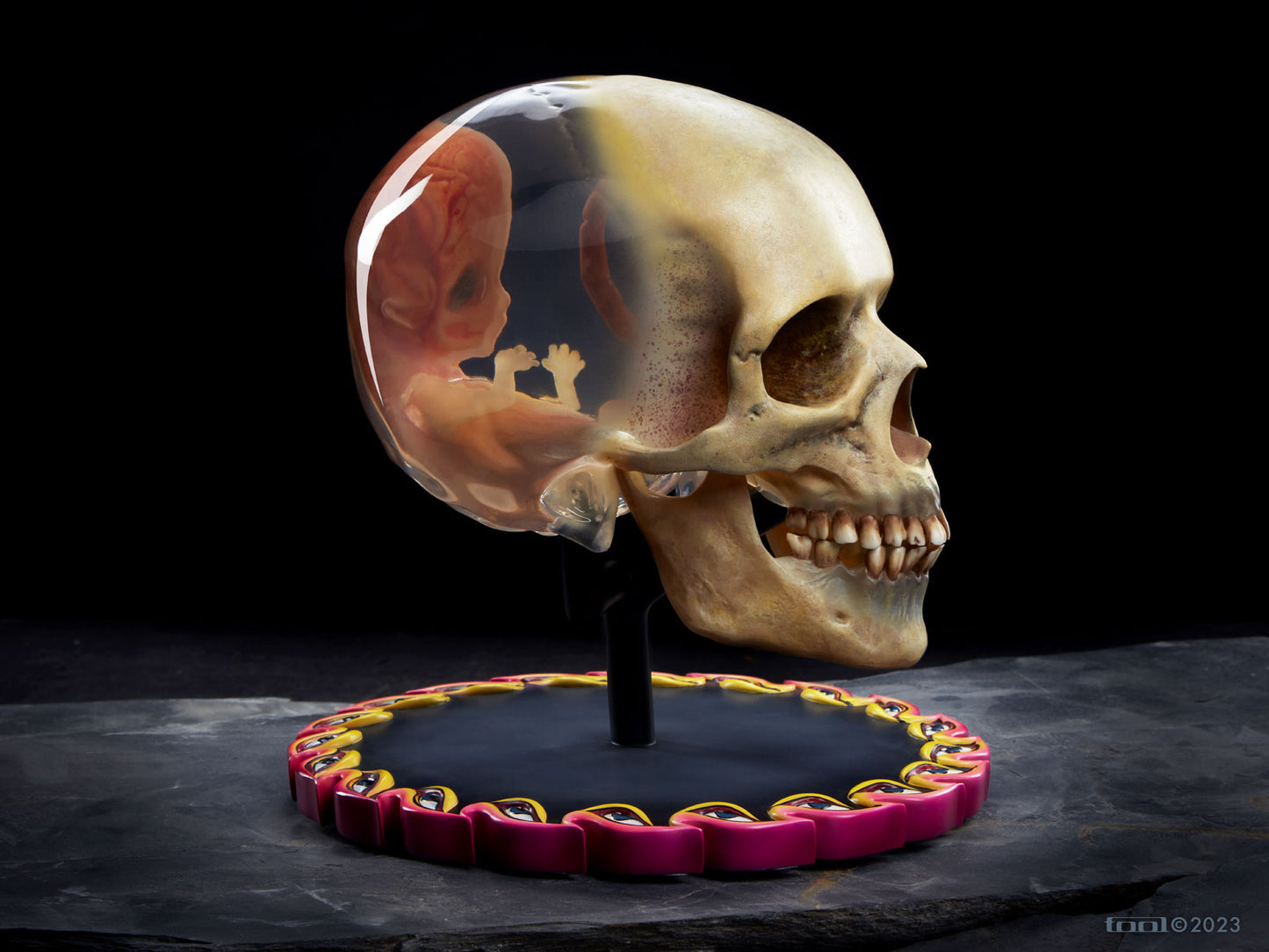 Fetus in Skull Life-Size Sculpture