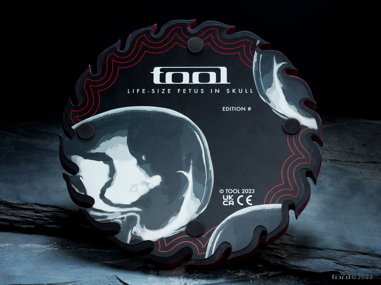 Fetus in Skull Life-Size Sculpture