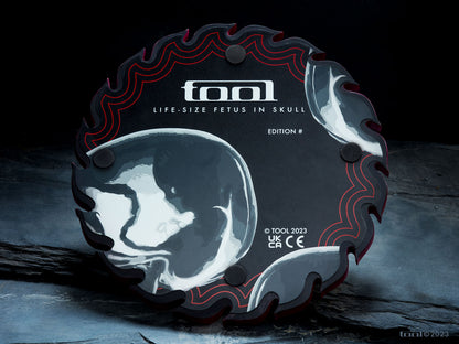Fetus in Skull Life-Size Sculpture