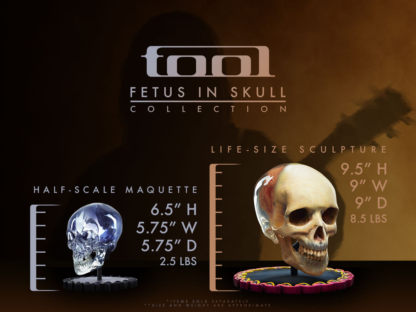 Fetus in Skull Life-Size Sculpture