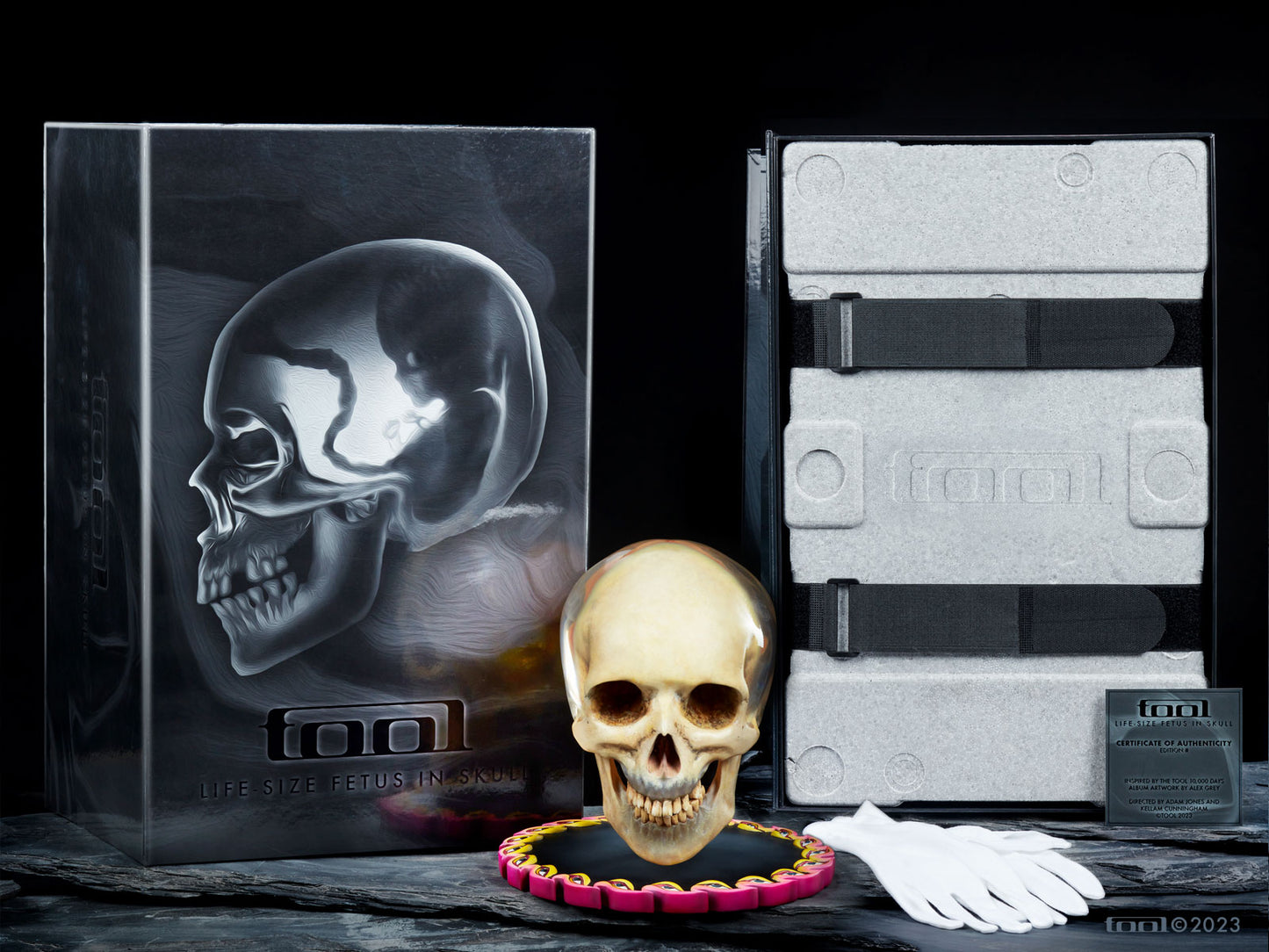 Fetus in Skull Life-Size Sculpture