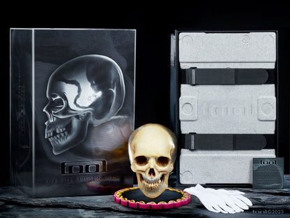 Fetus in Skull Life-Size Sculpture