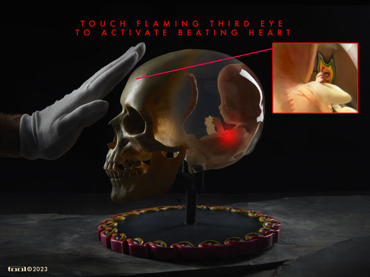 Fetus in Skull Life-Size Sculpture
