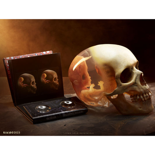 Fetus in Skull Life-Size Sculpture