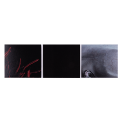 Schism DVD