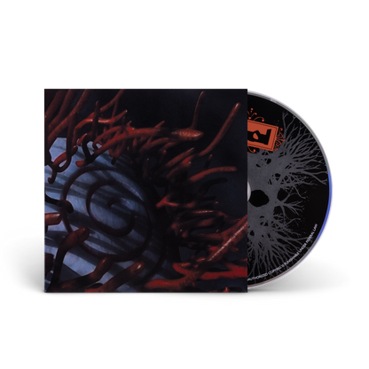 Schism DVD