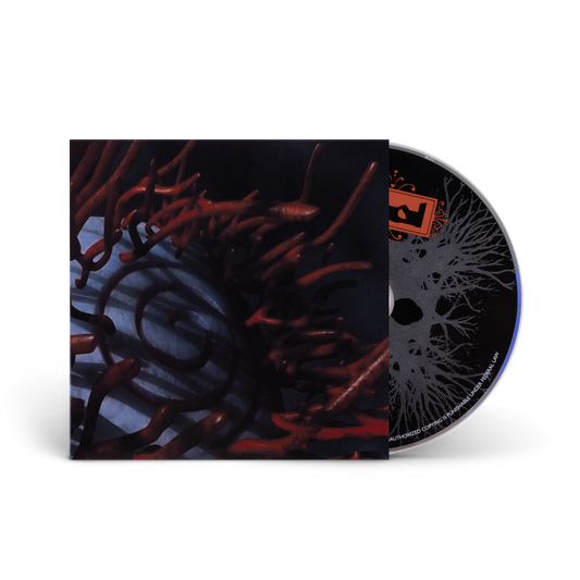 Schism DVD