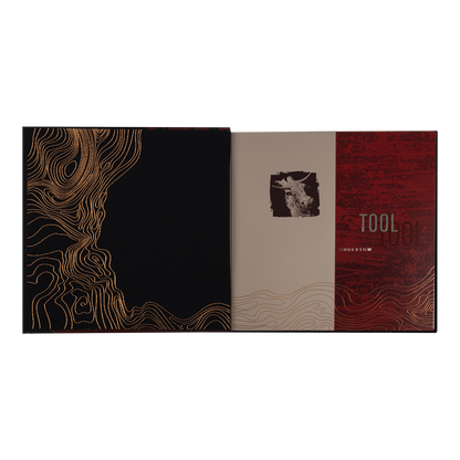 Undertow Deluxe CD (30th Anniversary Edition)