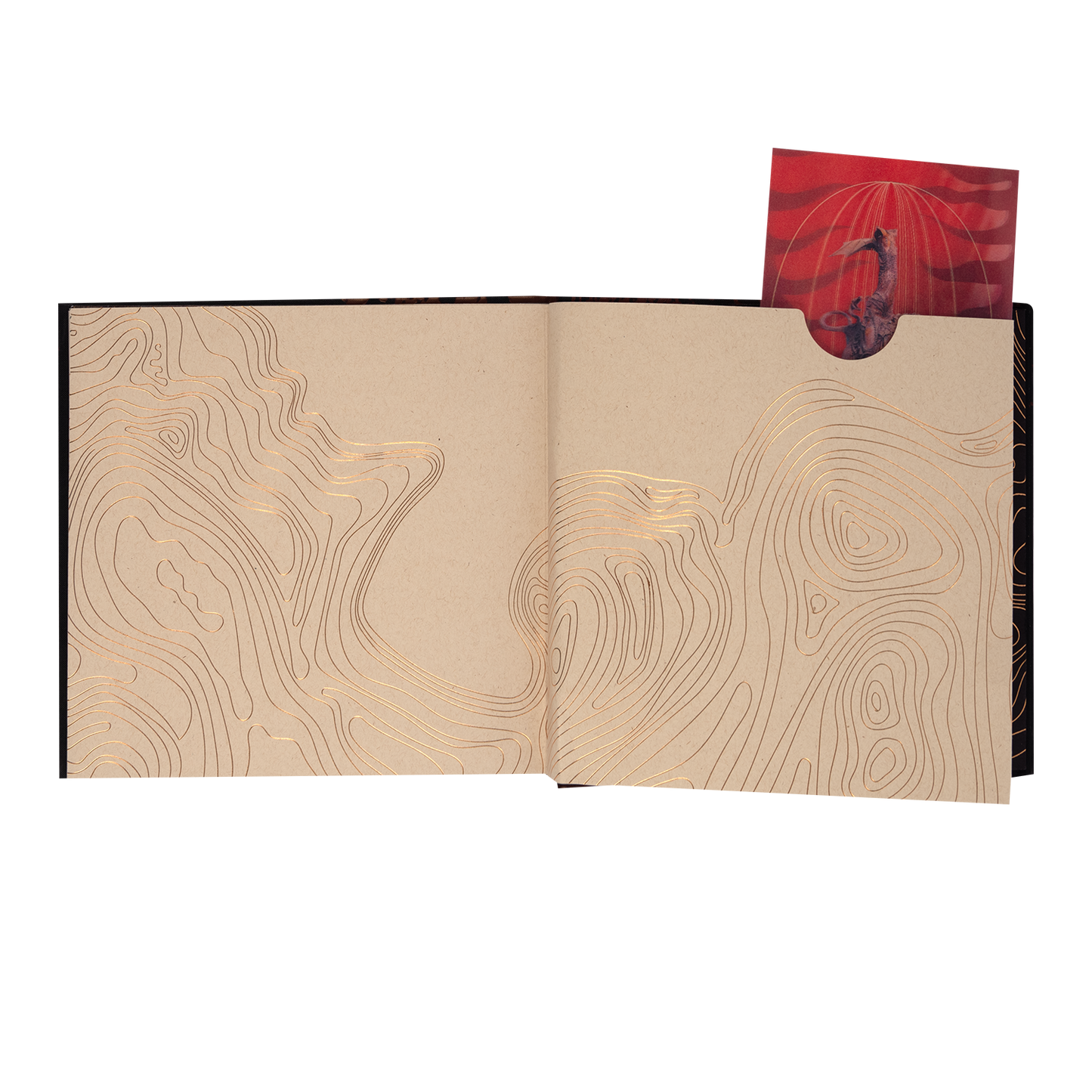 Undertow Deluxe CD (30th Anniversary Edition)