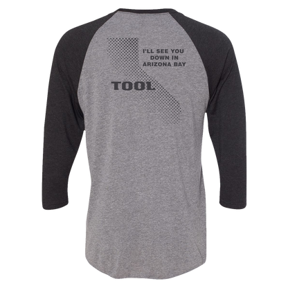 Ænima Learn To Swim Raglan