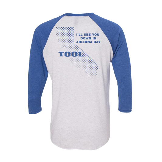 Ænima Learn To Swim Raglan