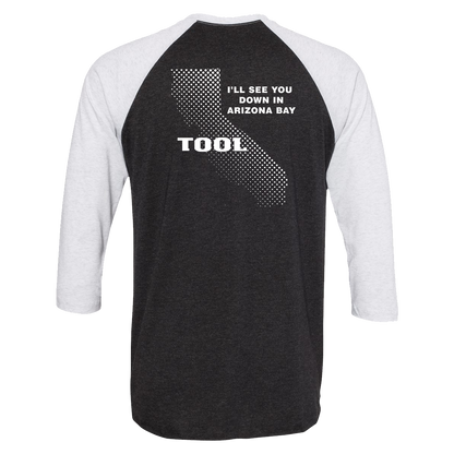 Ænima Learn To Swim Raglan