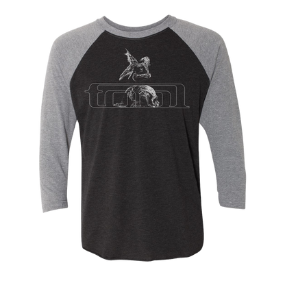 Tool - Adi Granov Desolation Raglan