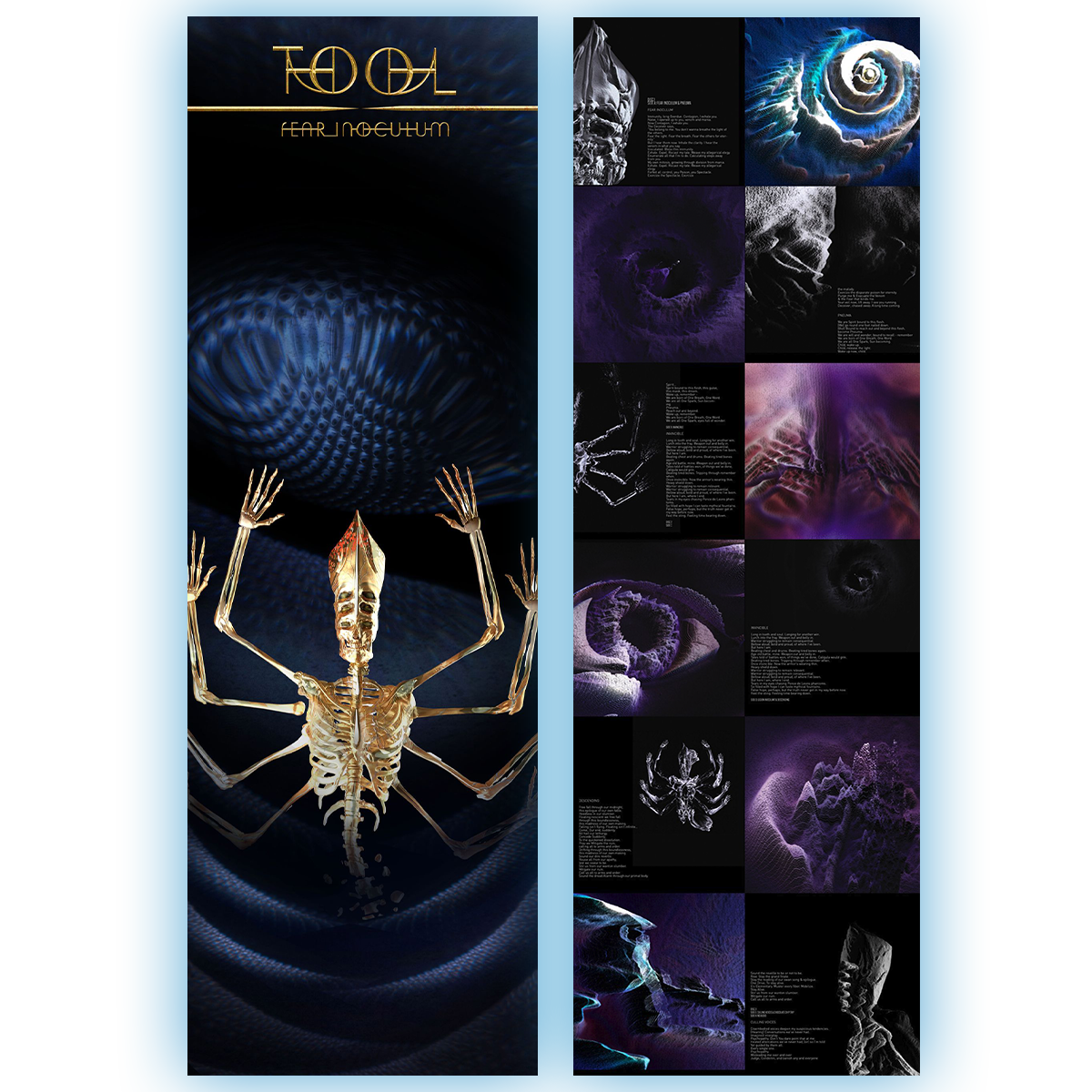 Fear Inoculum Black Vinyl 180g 3LP