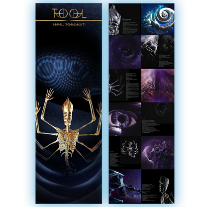 Fear Inoculum Black Vinyl 180g 3LP