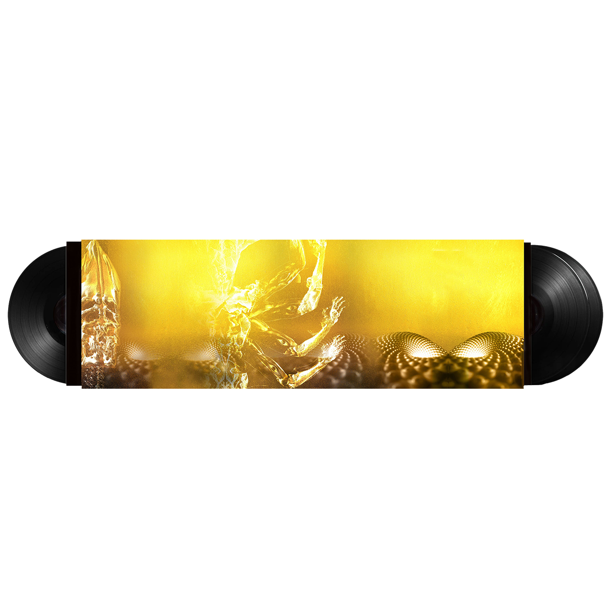 Fear Inoculum Black Vinyl 180g 3LP