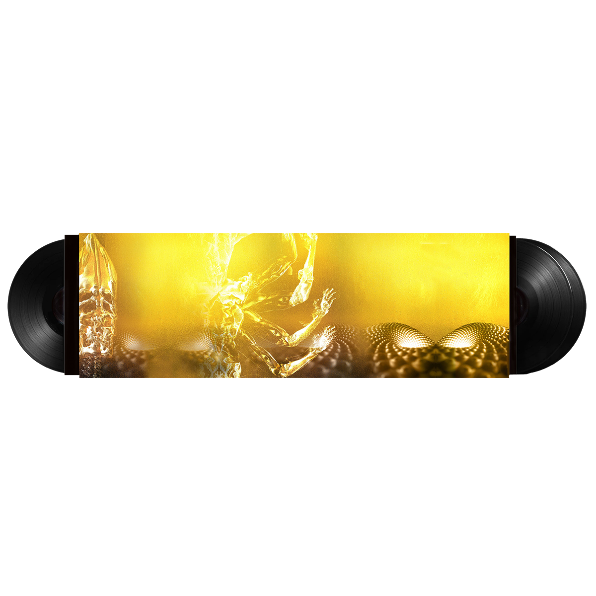 Fear Inoculum Black Vinyl 180g 3LP