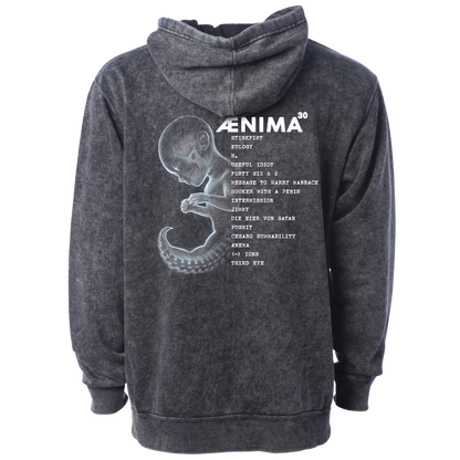 Ænima30 Tracklist Mineral Wash Pullover Hoodie
